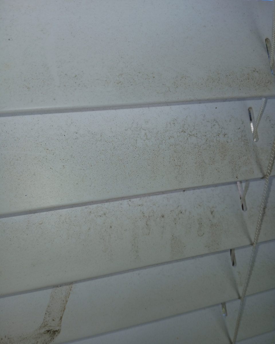 Window blinds — before cleaning