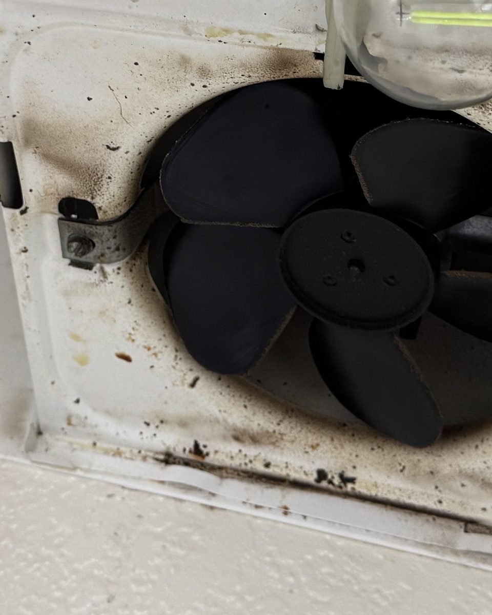 Range hood fan — before cleaning