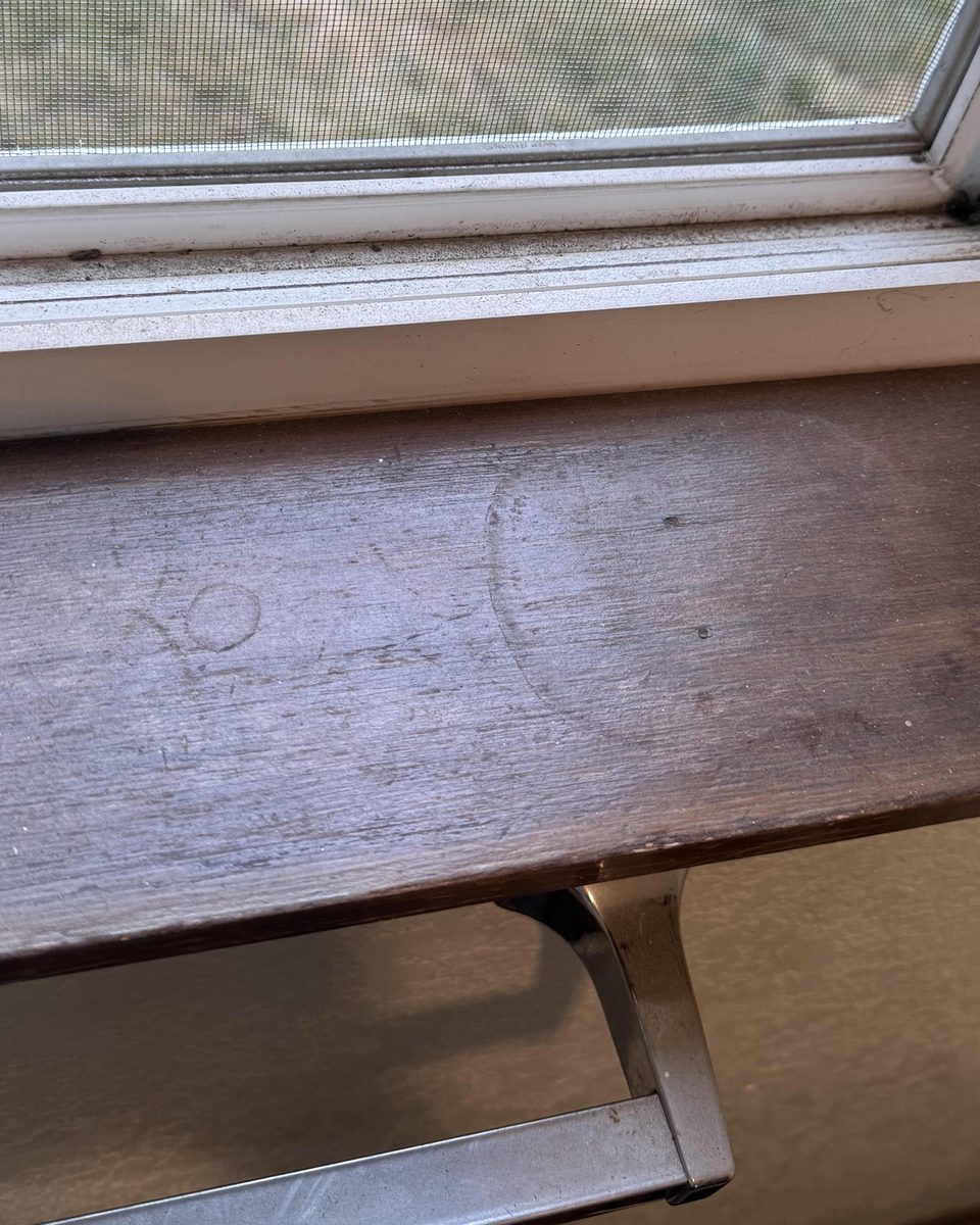Window sill & screen — before cleaning