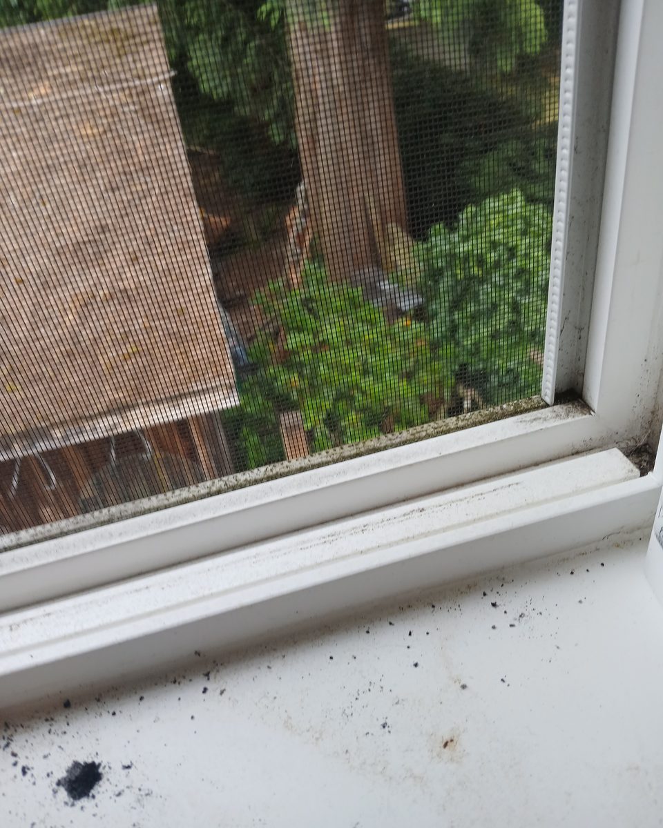 Window sill — before cleaning
